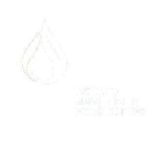 IBP